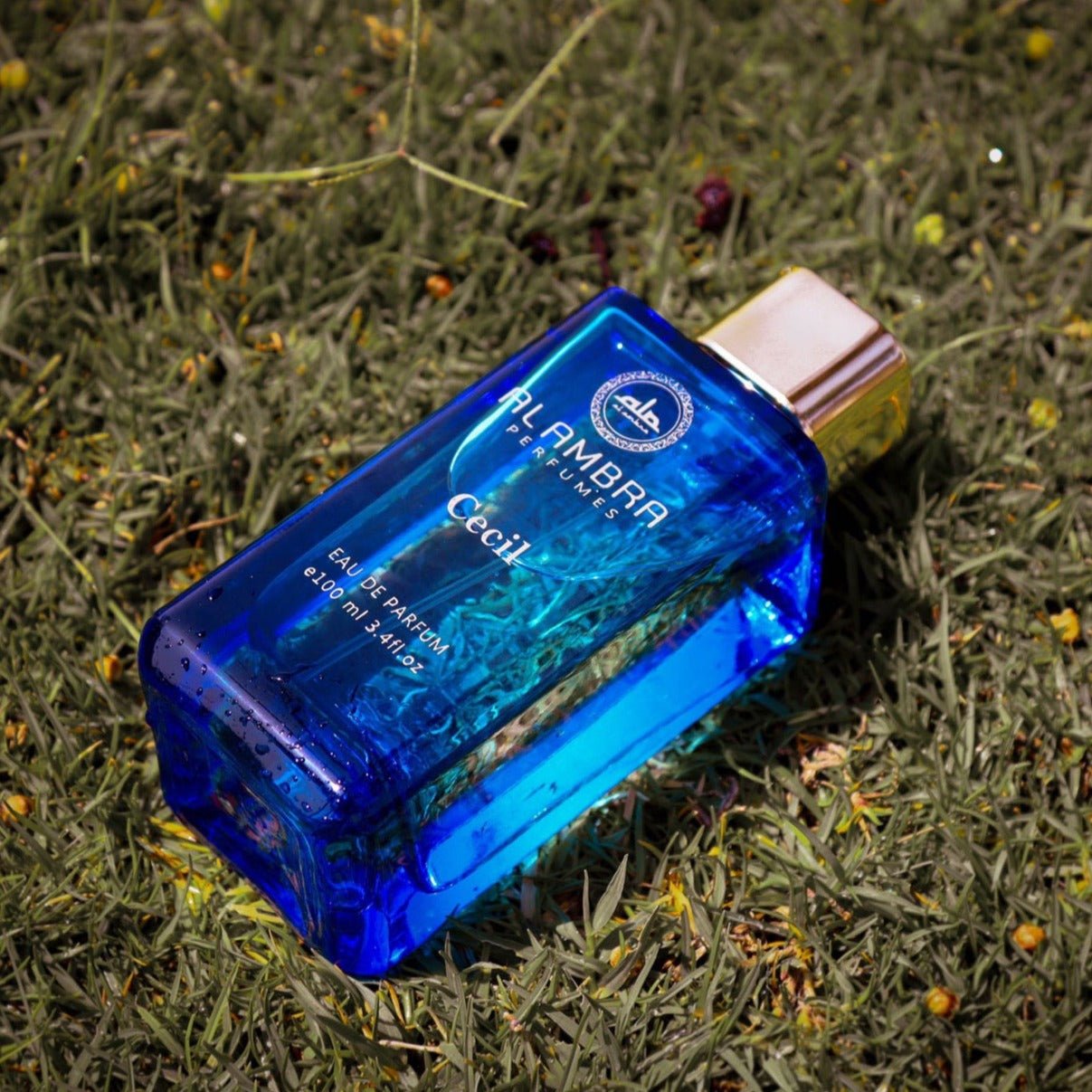 Cecil Luxury - Dubai House Of Fragrance