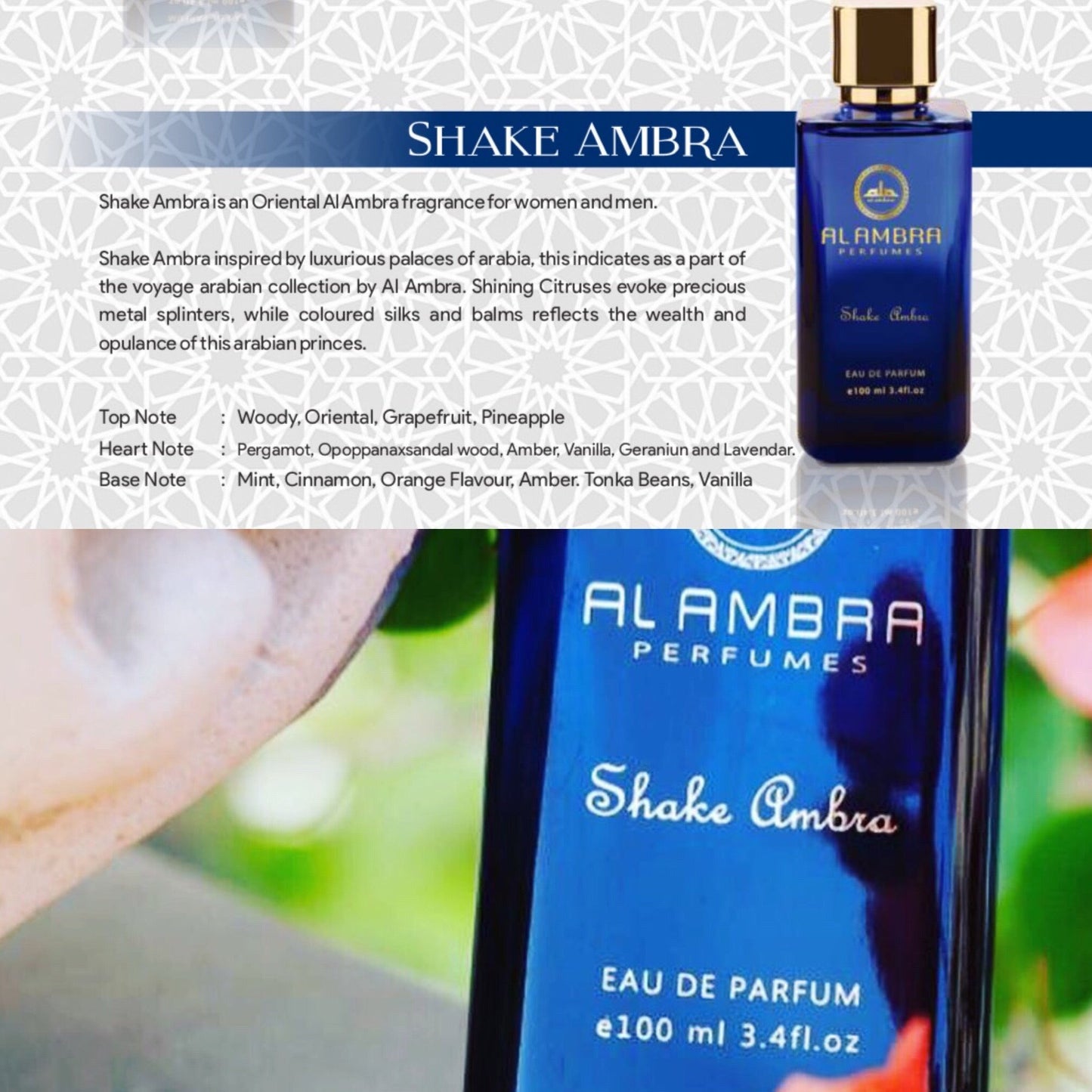 Shake Ambra Luxury COMBO OFFER